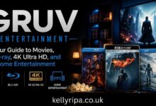 gruv entertainment