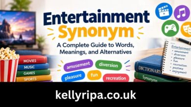 entertainment synonym